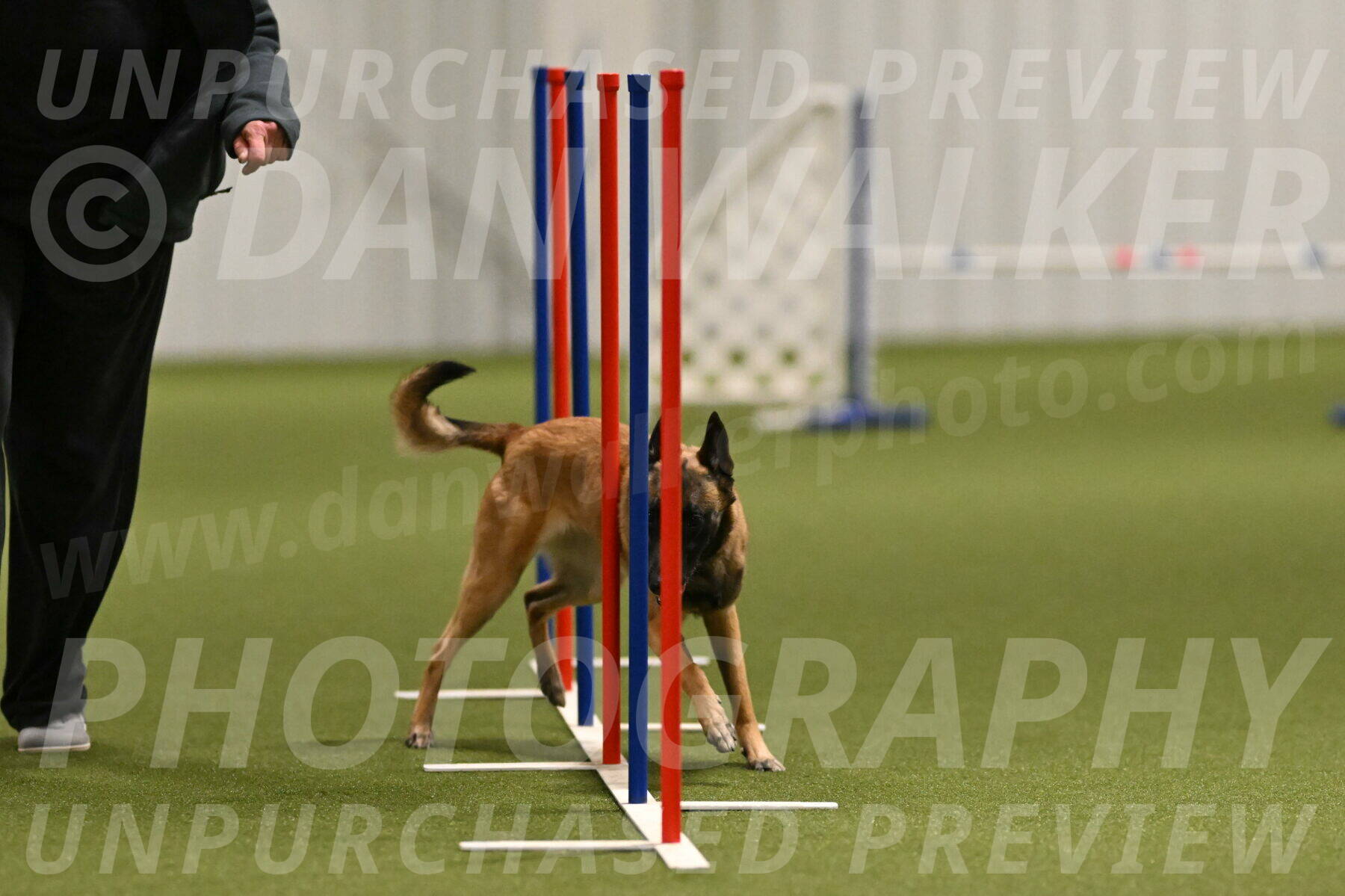 Ellie-Sharon-Muller-07102