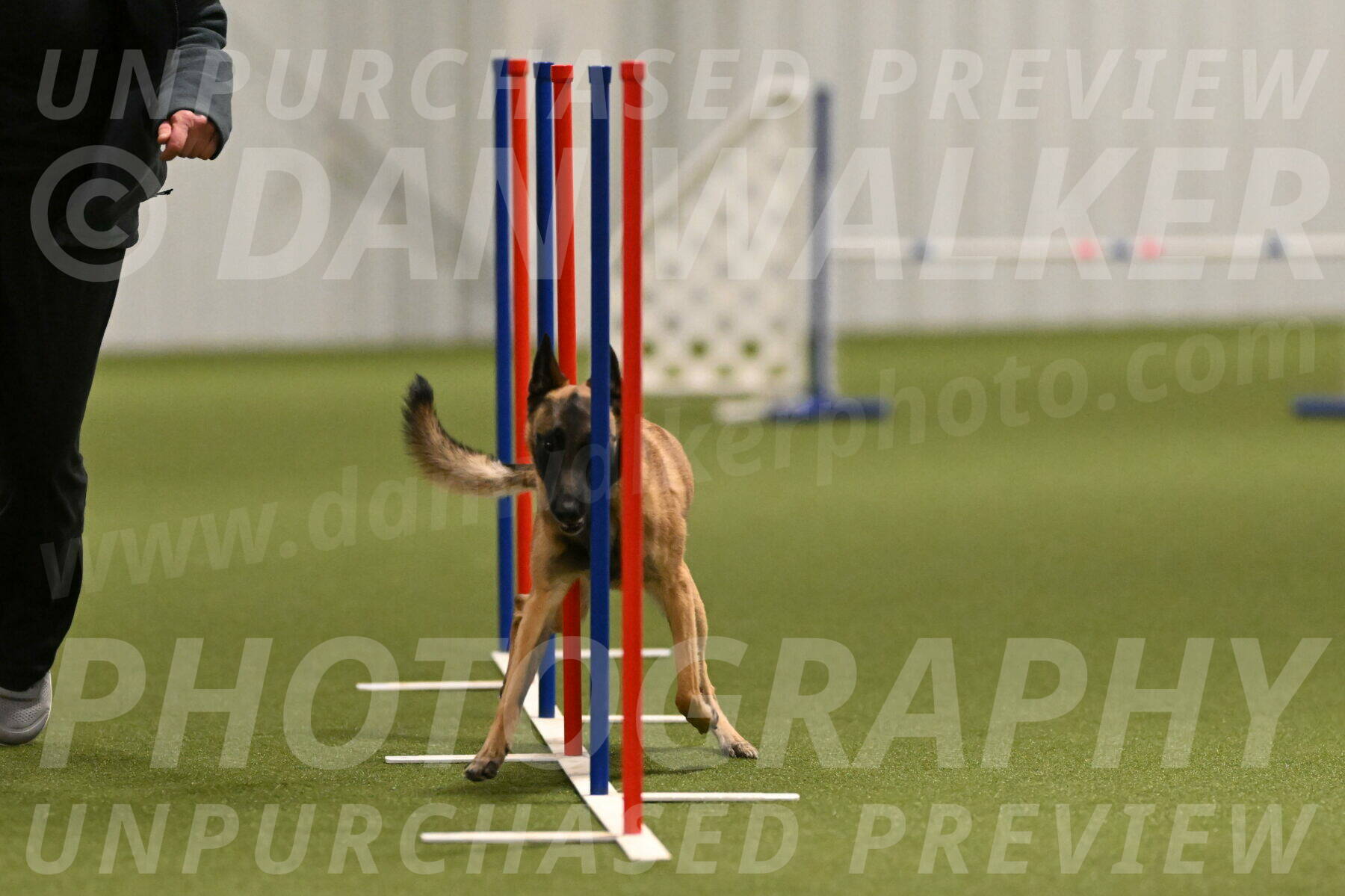 Ellie-Sharon-Muller-07103