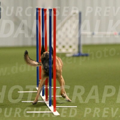 Ellie-Sharon-Muller-07103