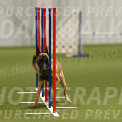 Ellie-Sharon-Muller-07104