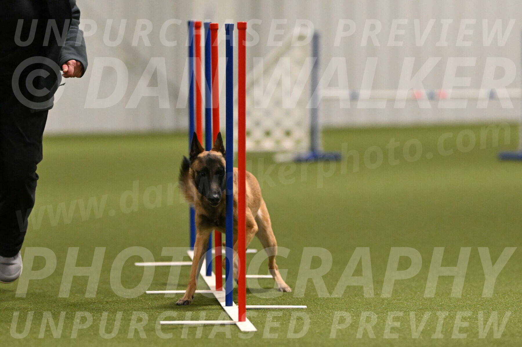 Ellie-Sharon-Muller-07104