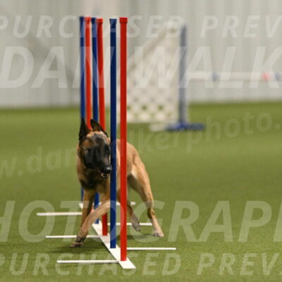 Ellie-Sharon-Muller-07105