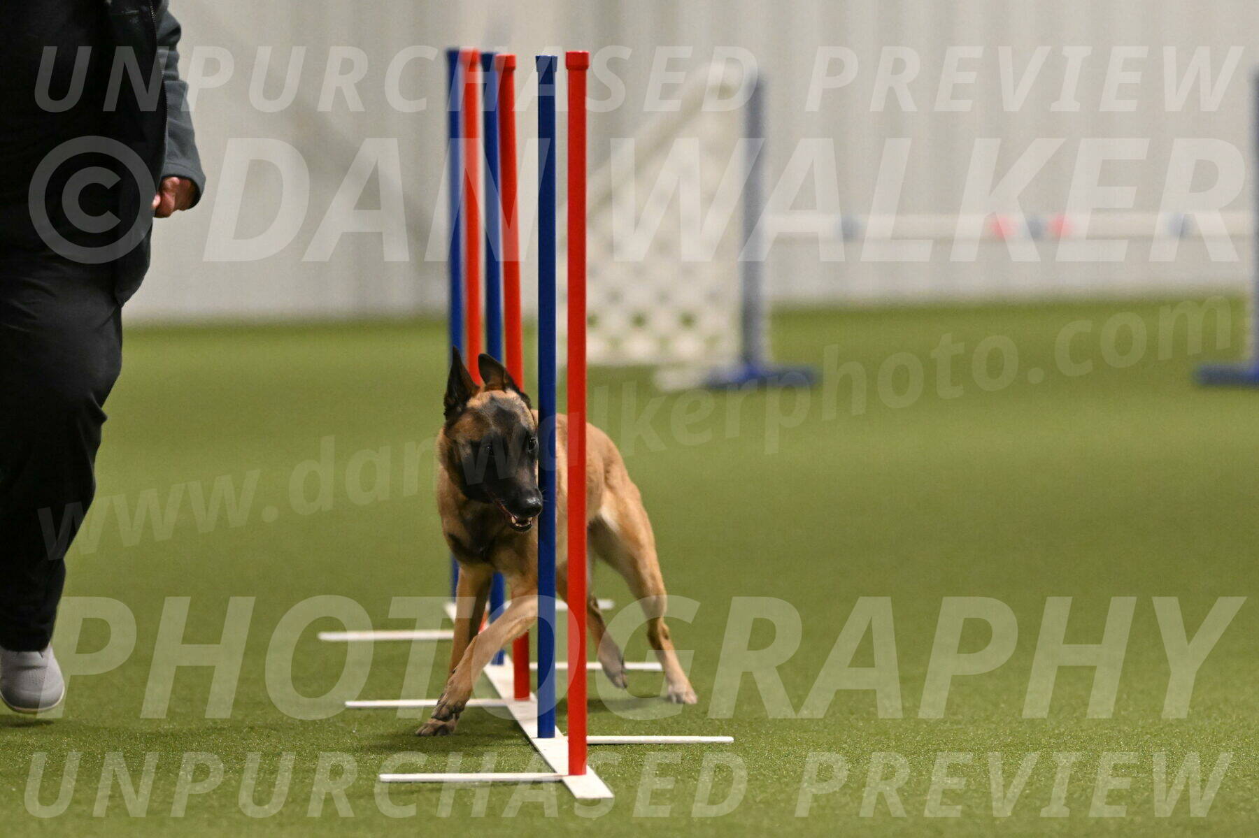 Ellie-Sharon-Muller-07105