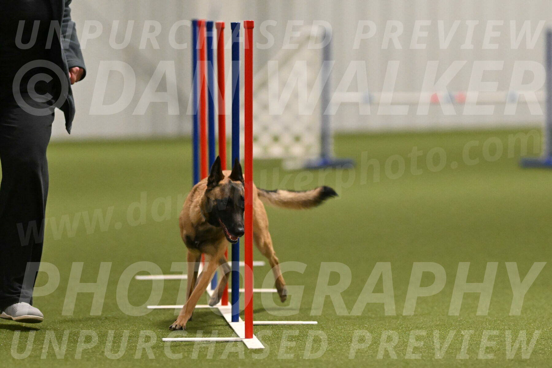 Ellie-Sharon-Muller-07106