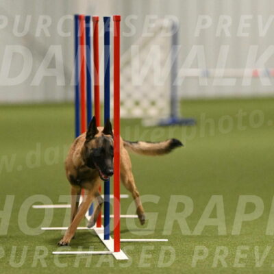 Ellie-Sharon-Muller-07106