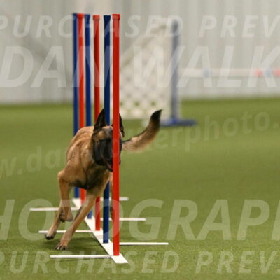 Ellie-Sharon-Muller-07107