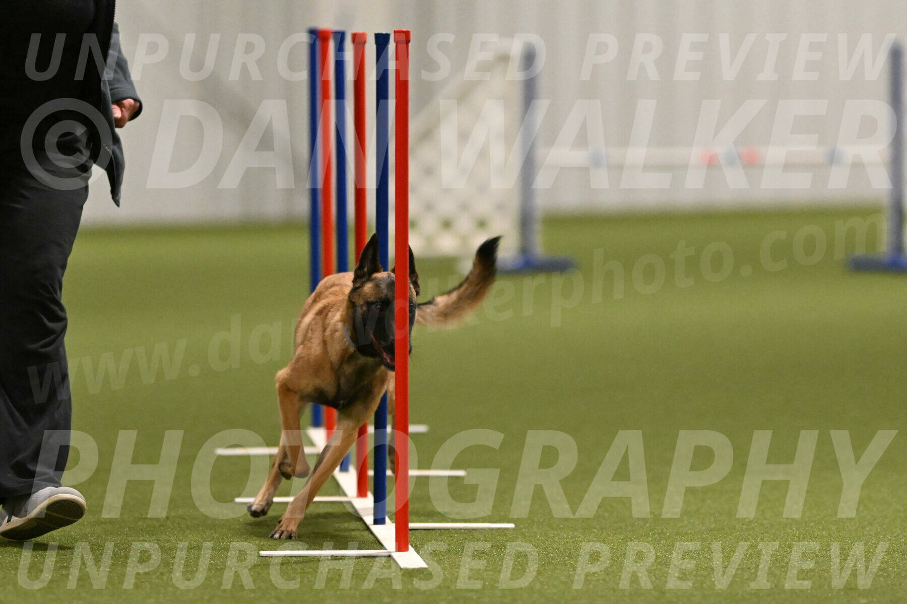 Ellie-Sharon-Muller-07107