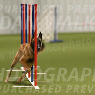 Ellie-Sharon-Muller-07108