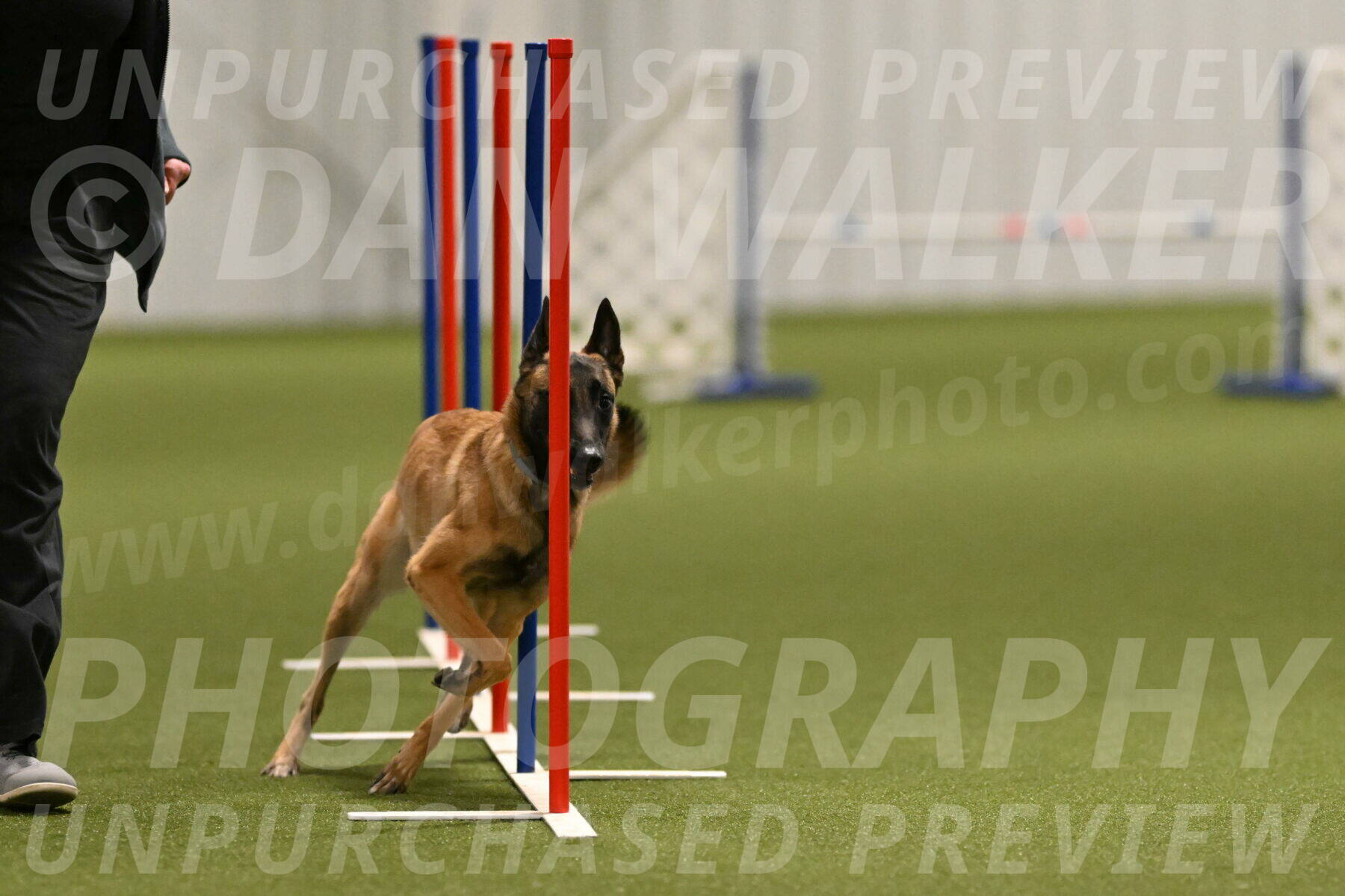 Ellie-Sharon-Muller-07108