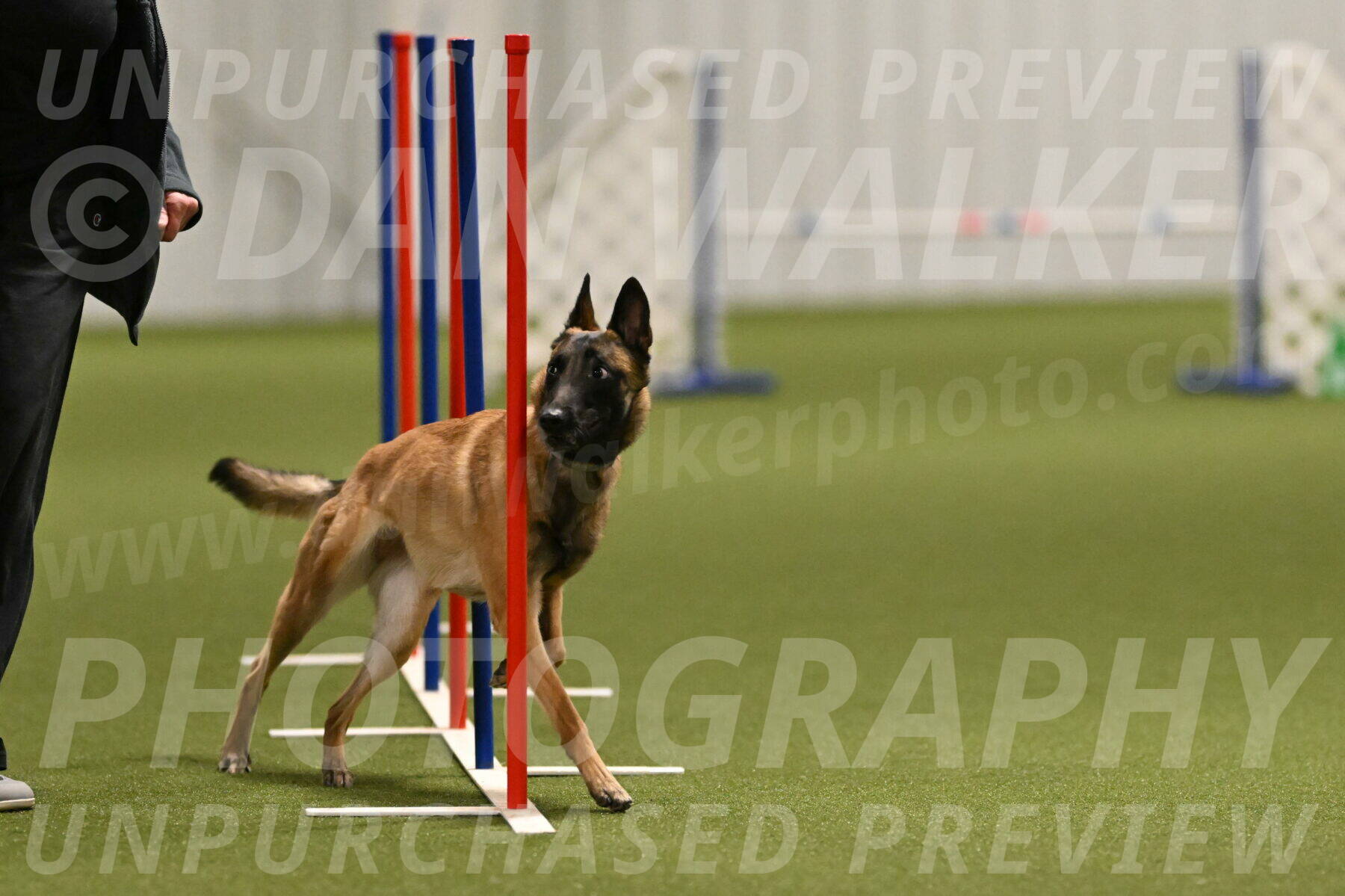 Ellie-Sharon-Muller-07109