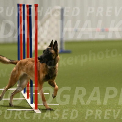 Ellie-Sharon-Muller-07110