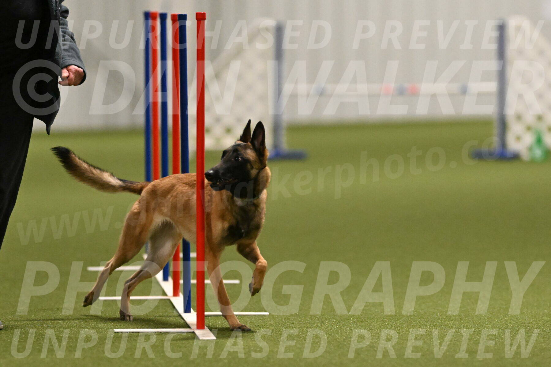 Ellie-Sharon-Muller-07110