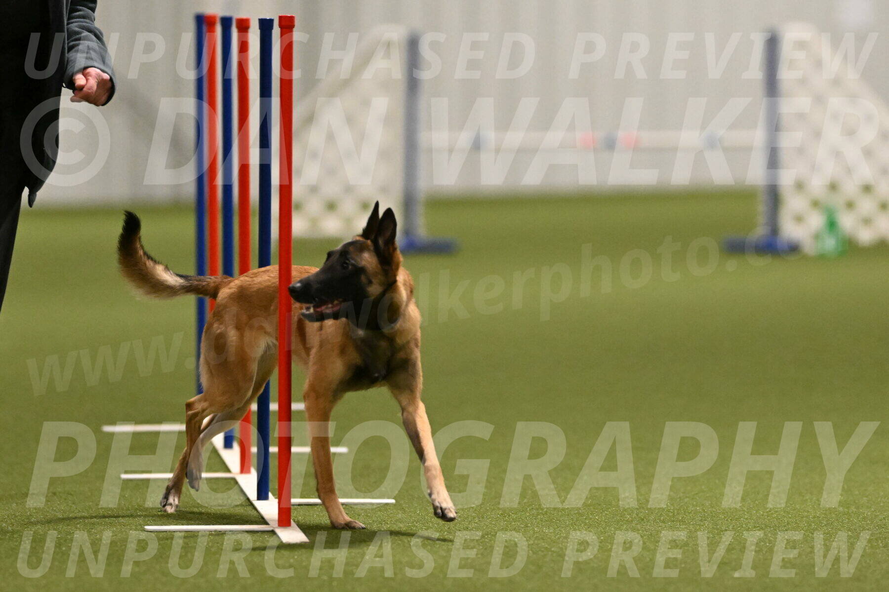 Ellie-Sharon-Muller-07111