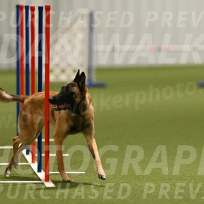 Ellie-Sharon-Muller-07111