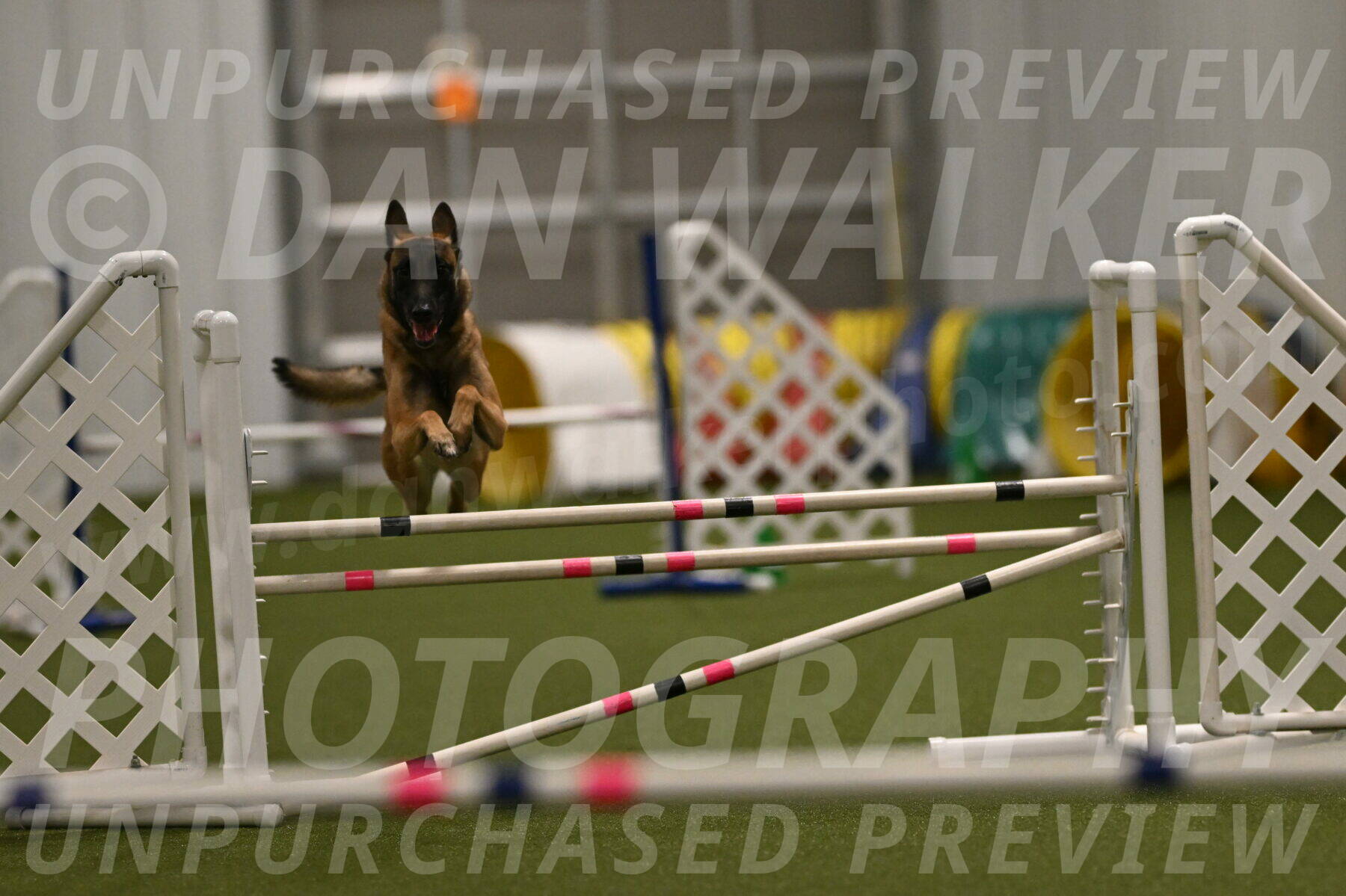 Ellie-Sharon-Muller-07112