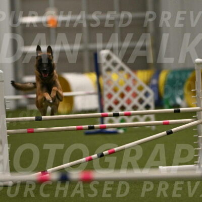 Ellie-Sharon-Muller-07112