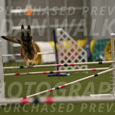 Ellie-Sharon-Muller-07113