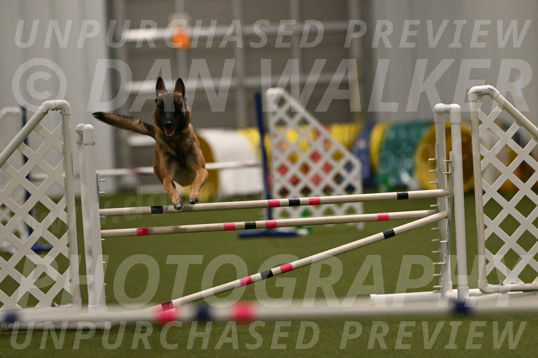 Ellie-Sharon-Muller-07113