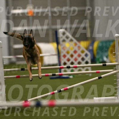 Ellie-Sharon-Muller-07114