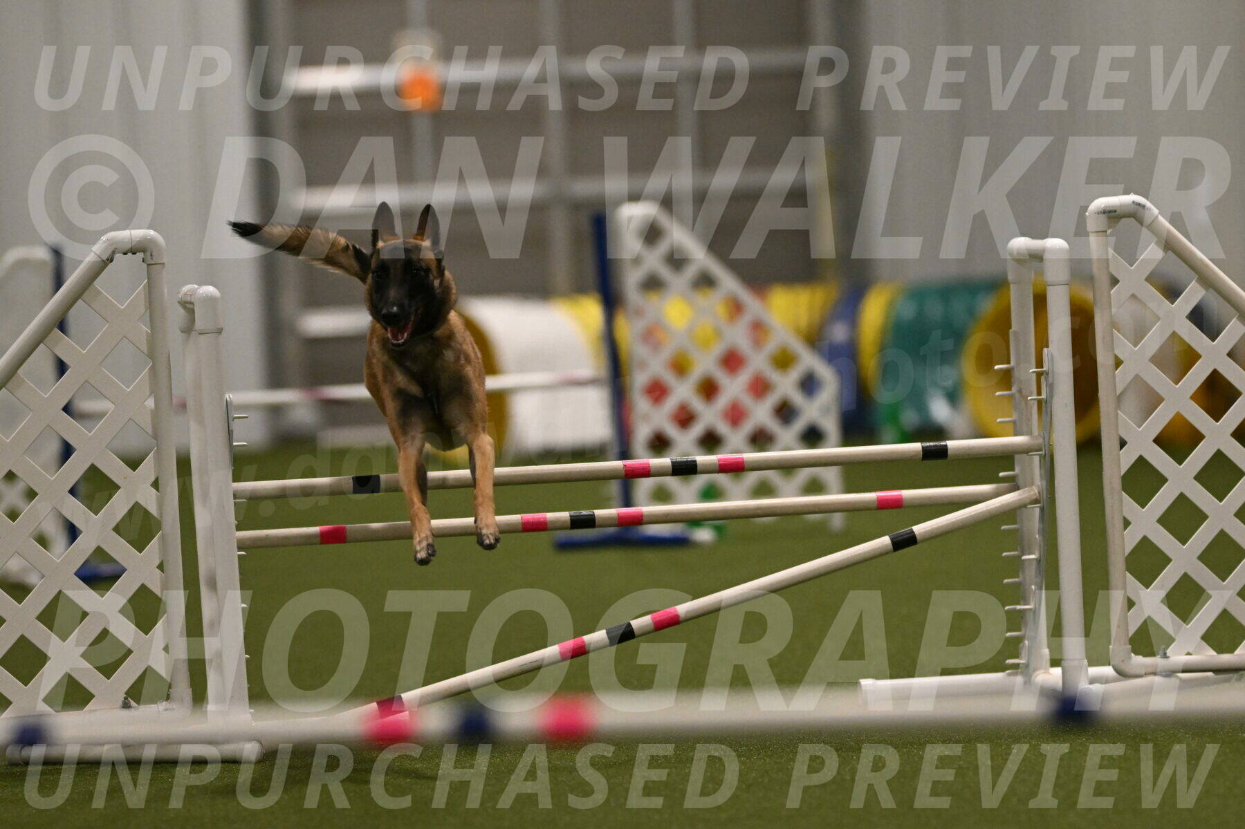 Ellie-Sharon-Muller-07114