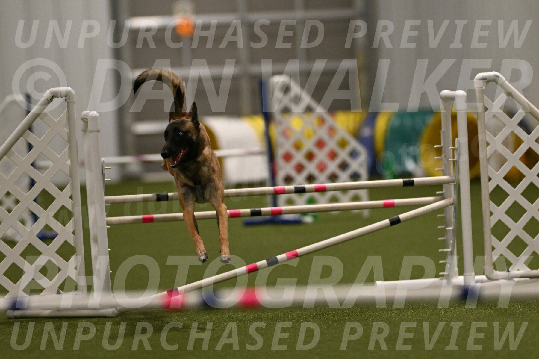 Ellie-Sharon-Muller-07115