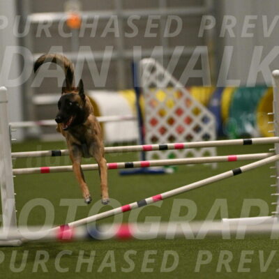 Ellie-Sharon-Muller-07115