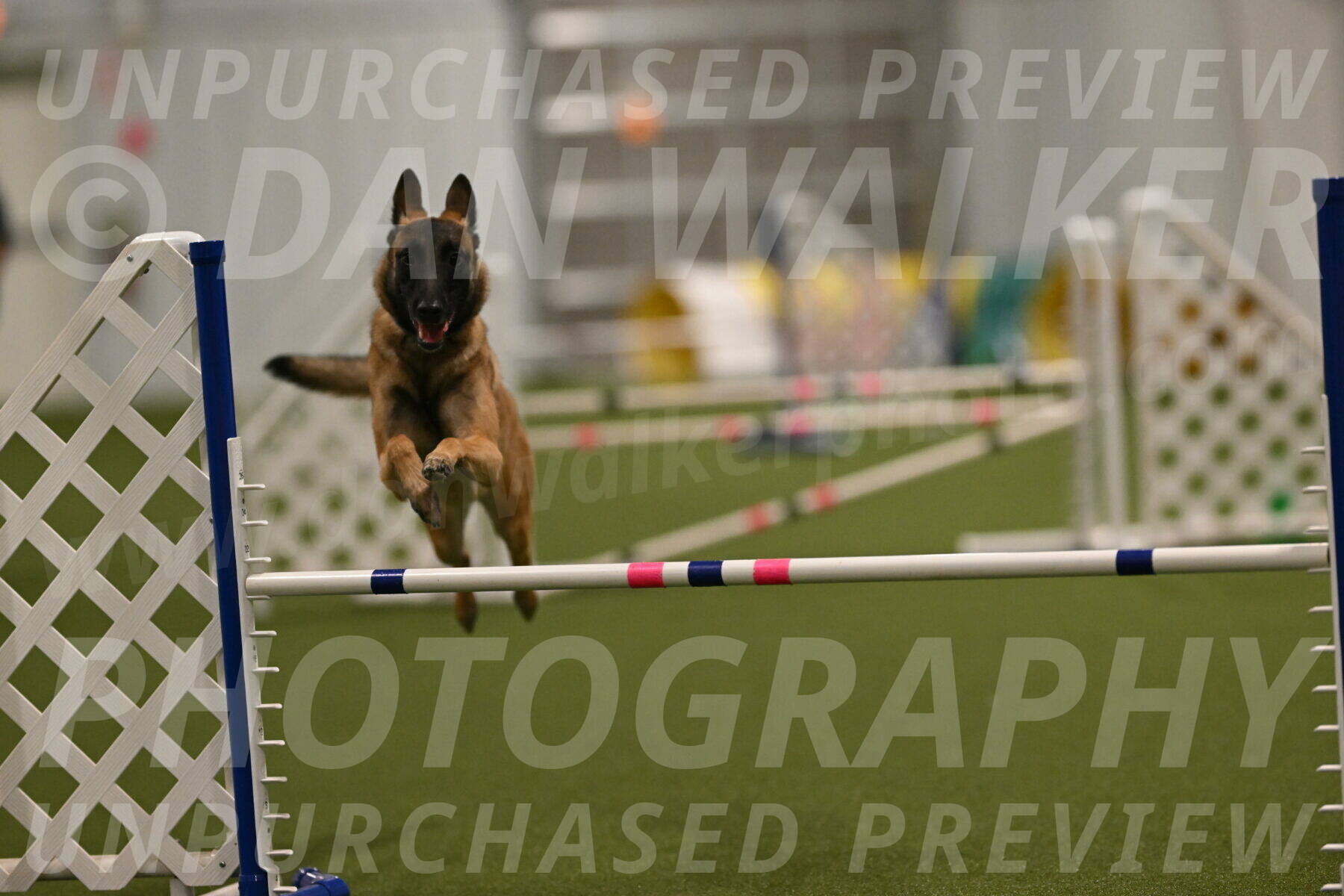 Ellie-Sharon-Muller-07116