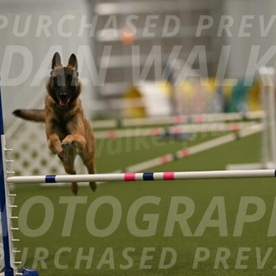 Ellie-Sharon-Muller-07116