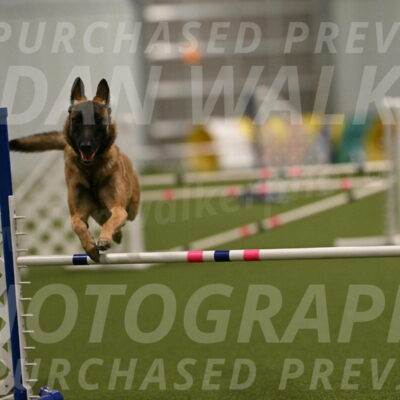 Ellie-Sharon-Muller-07117