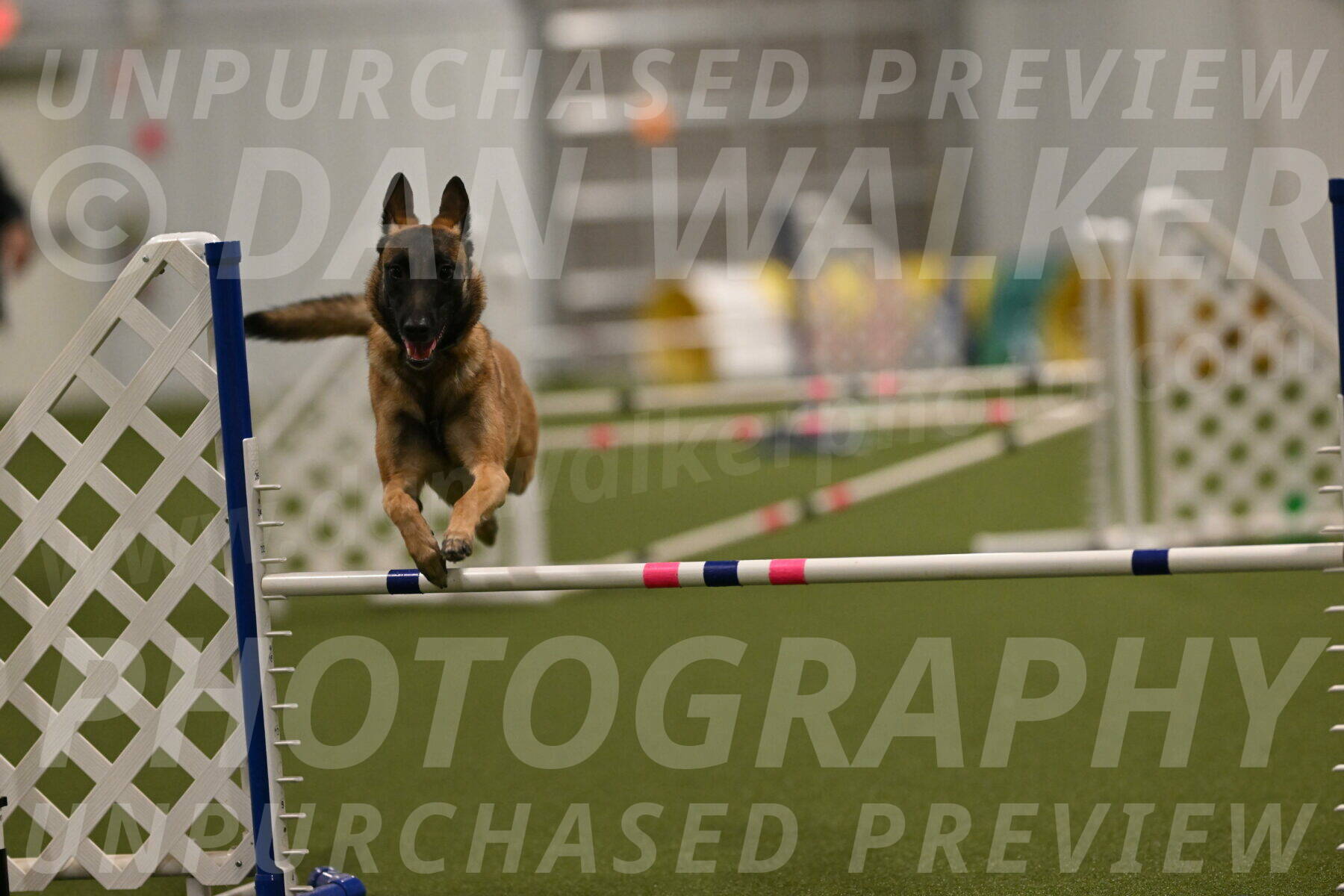 Ellie-Sharon-Muller-07117