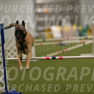 Ellie-Sharon-Muller-07118