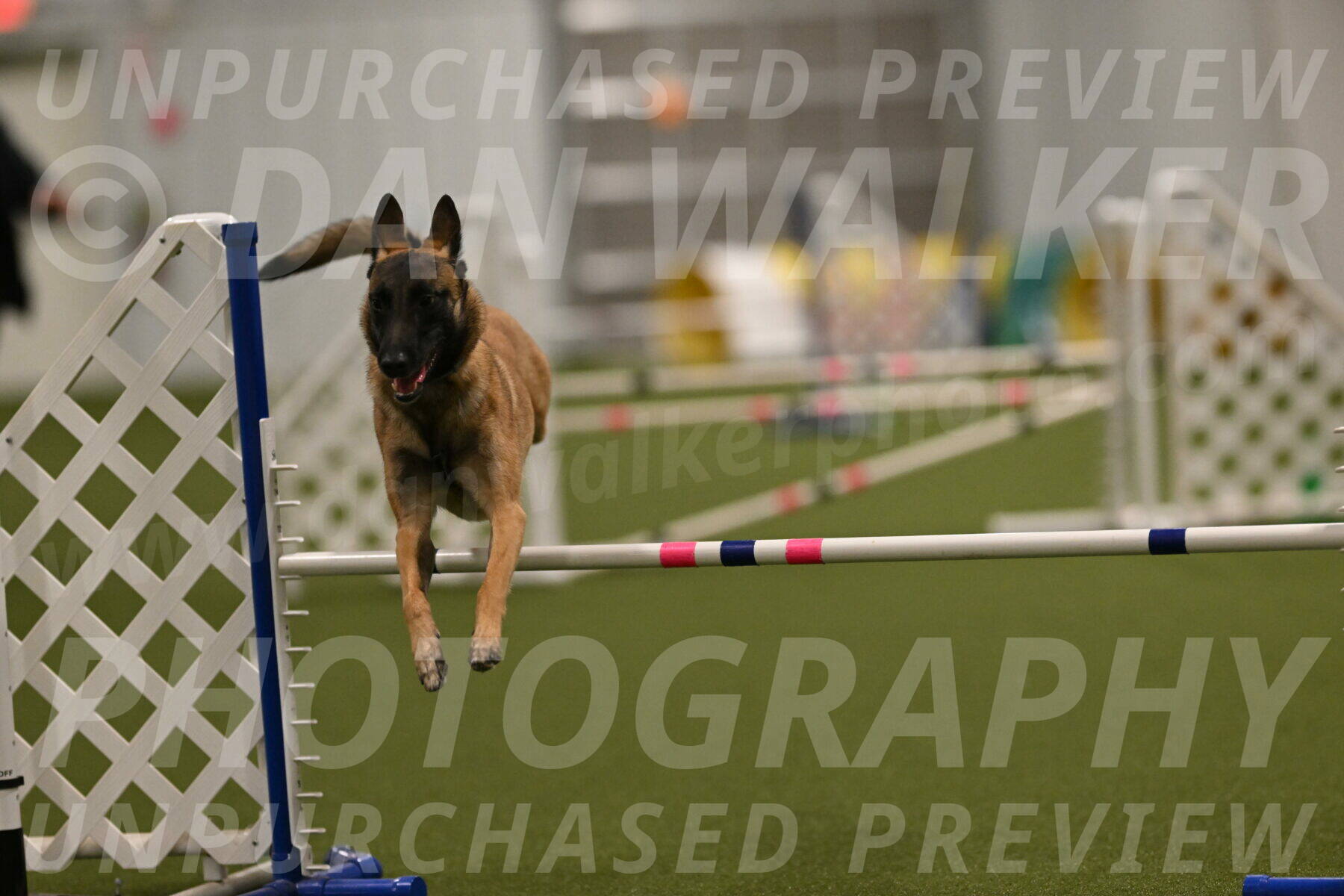 Ellie-Sharon-Muller-07118