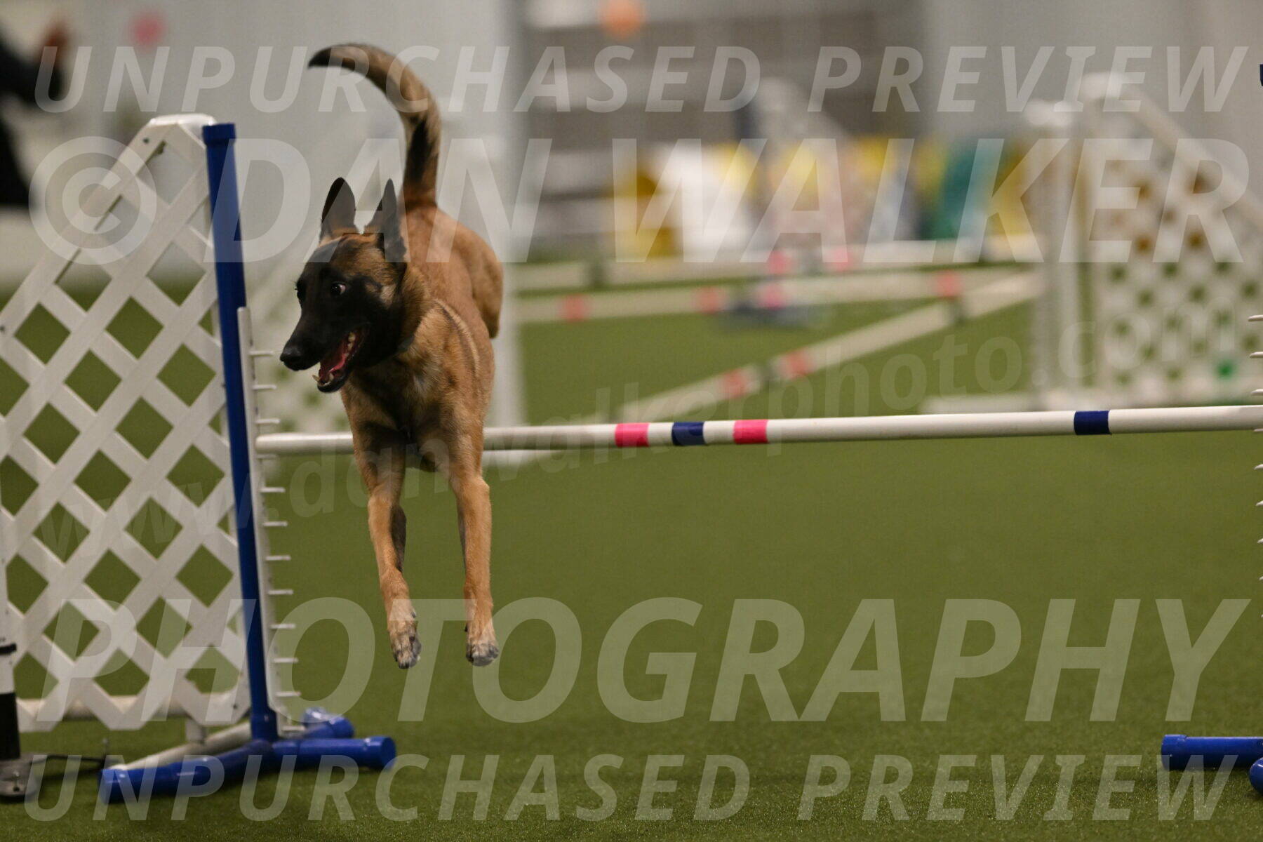 Ellie-Sharon-Muller-07119