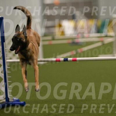 Ellie-Sharon-Muller-07119