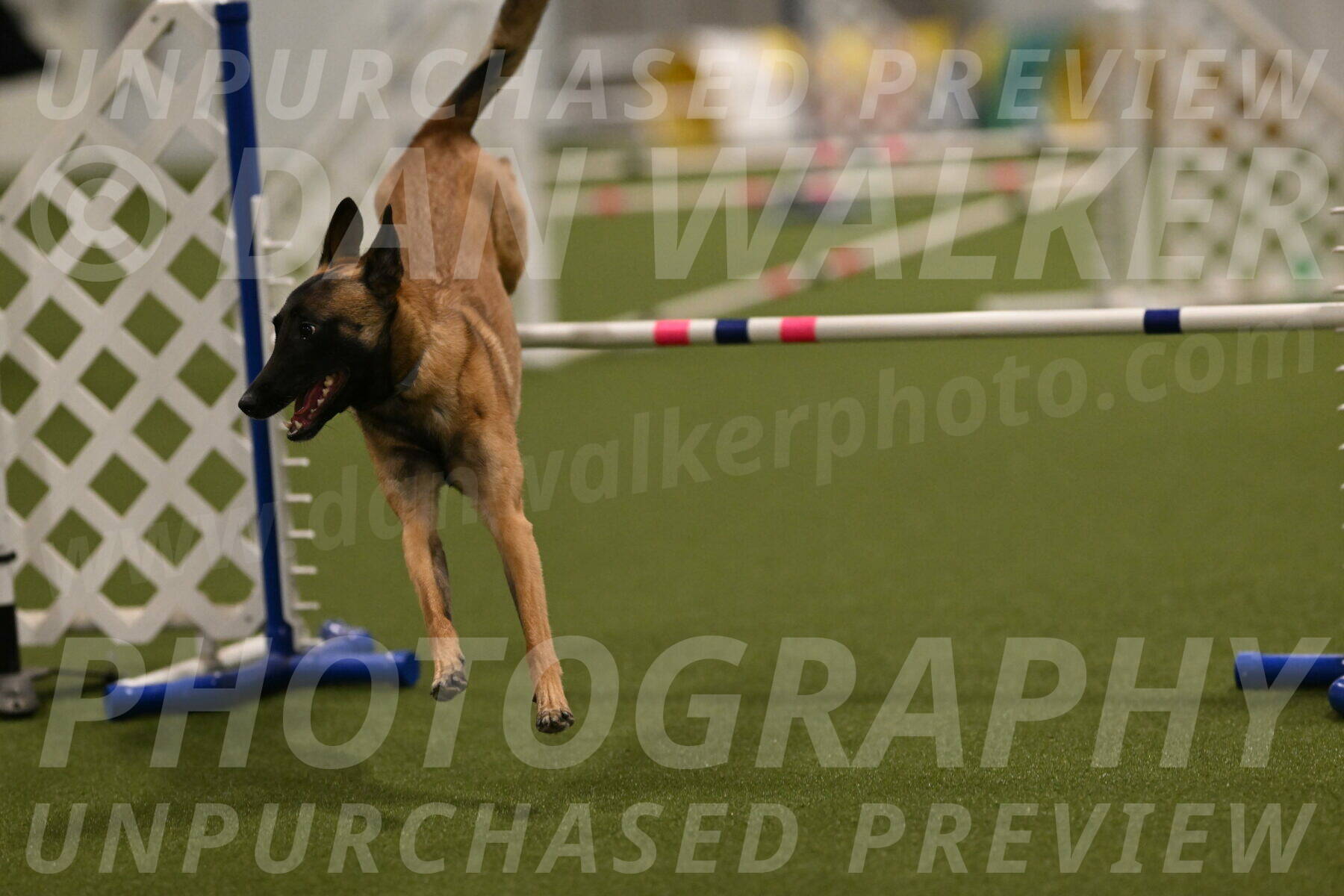 Ellie-Sharon-Muller-07120