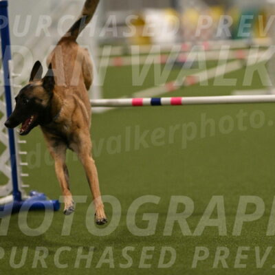 Ellie-Sharon-Muller-07120