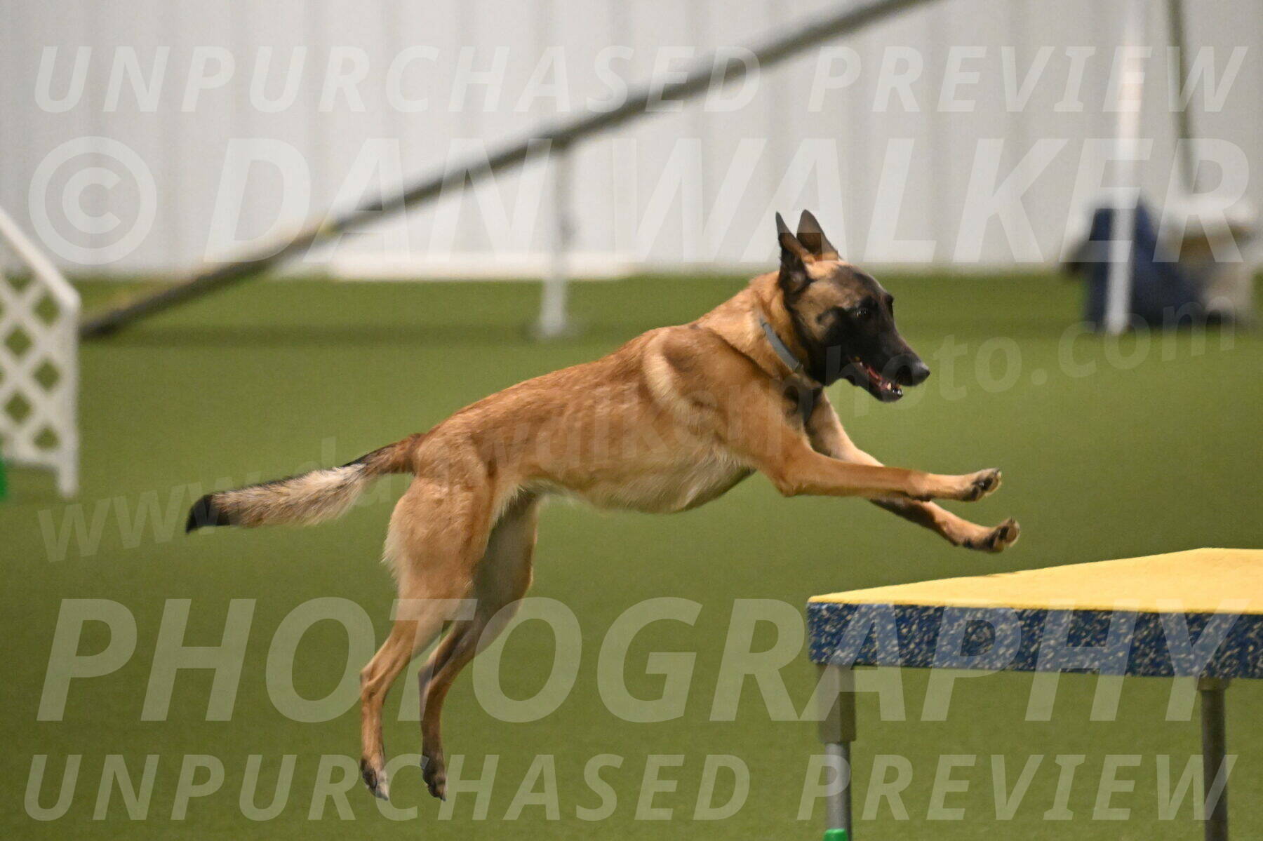 Ellie-Sharon-Muller-07121