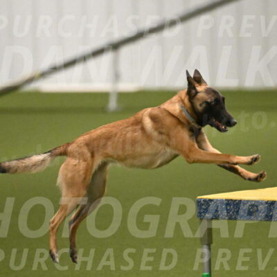 Ellie-Sharon-Muller-07121