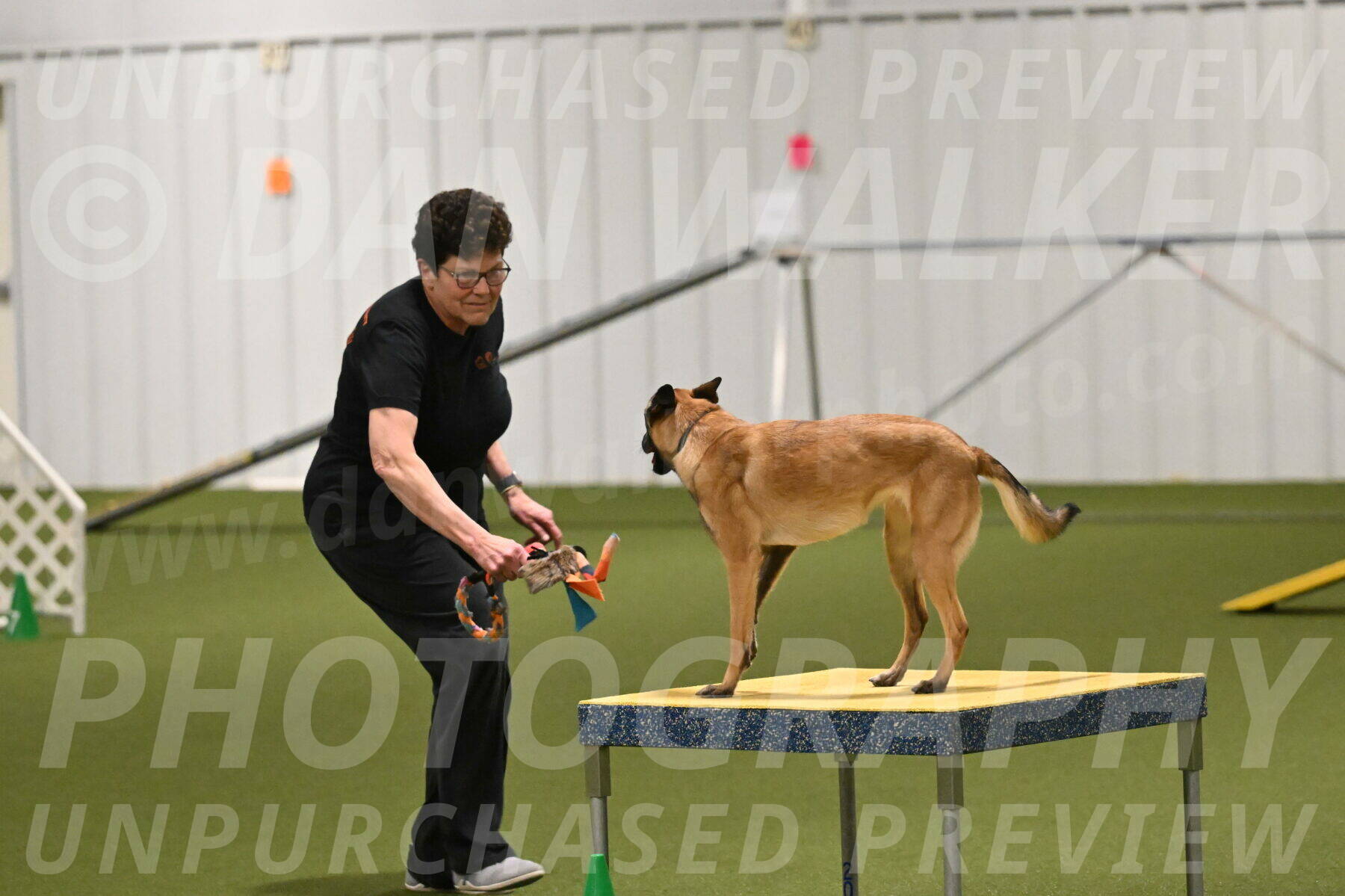 Ellie-Sharon-Muller-07122