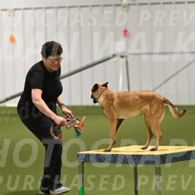 Ellie-Sharon-Muller-07122