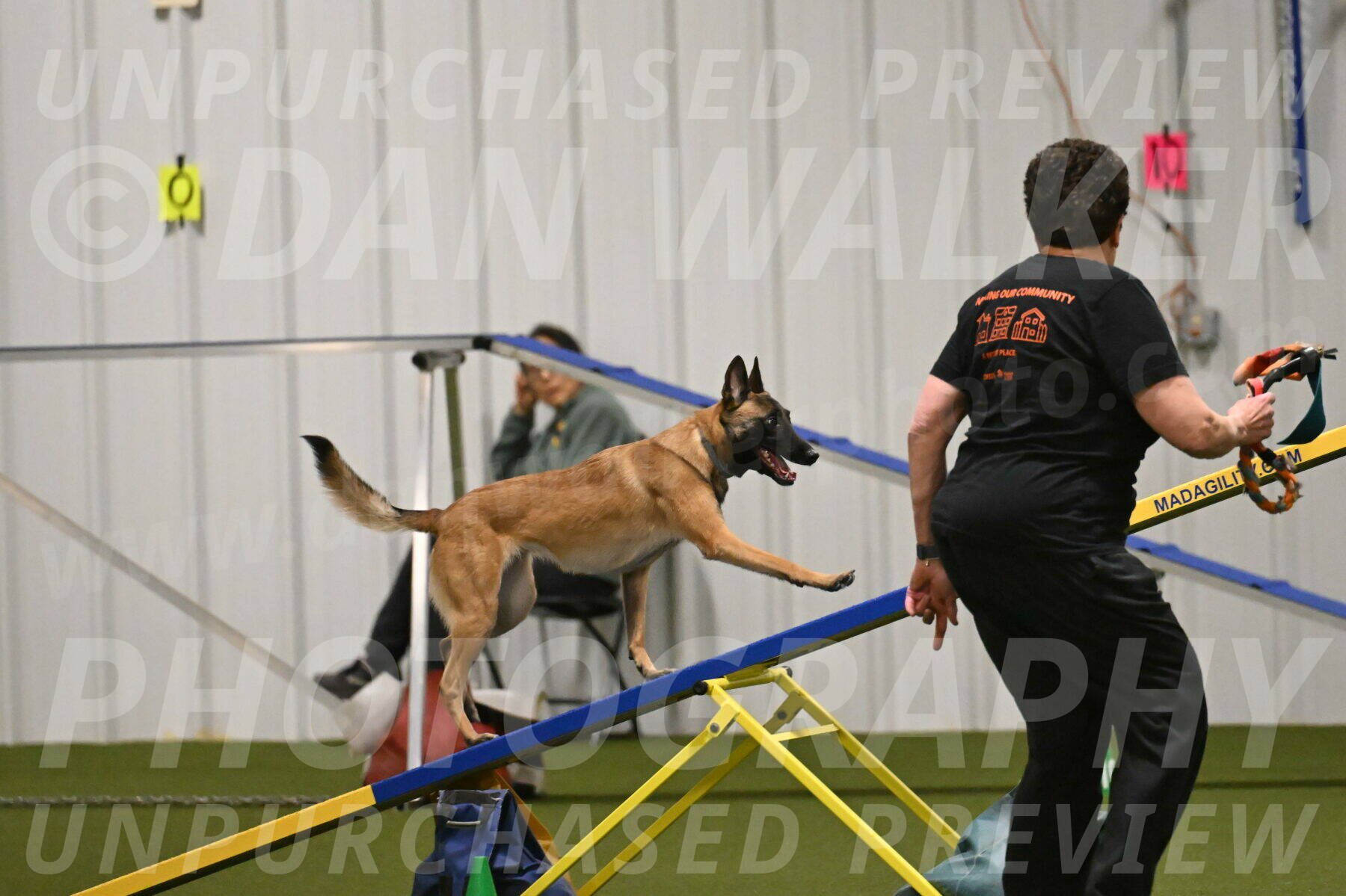 Ellie-Sharon-Muller-07123