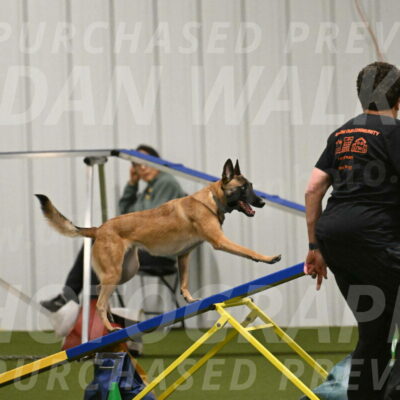 Ellie-Sharon-Muller-07123