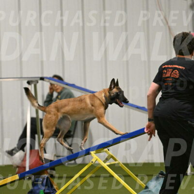 Ellie-Sharon-Muller-07124