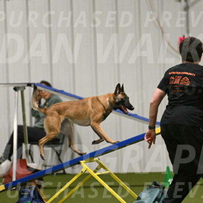 Ellie-Sharon-Muller-07125