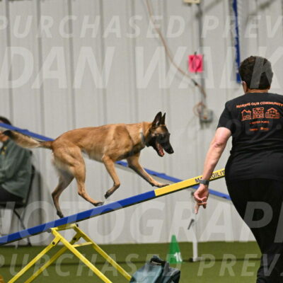 Ellie-Sharon-Muller-07126