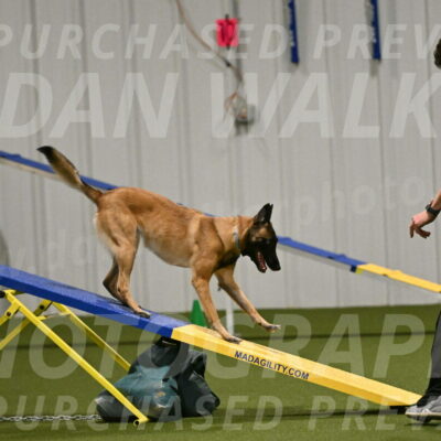 Ellie-Sharon-Muller-07128