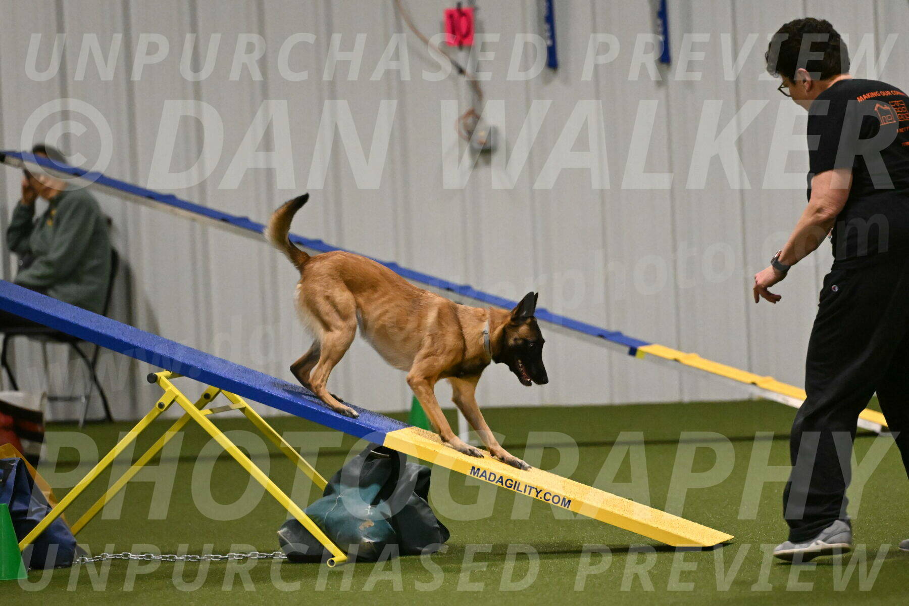 Ellie-Sharon-Muller-07129