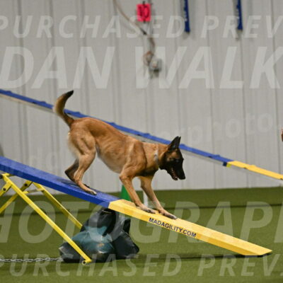 Ellie-Sharon-Muller-07129