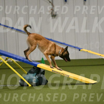 Ellie-Sharon-Muller-07130