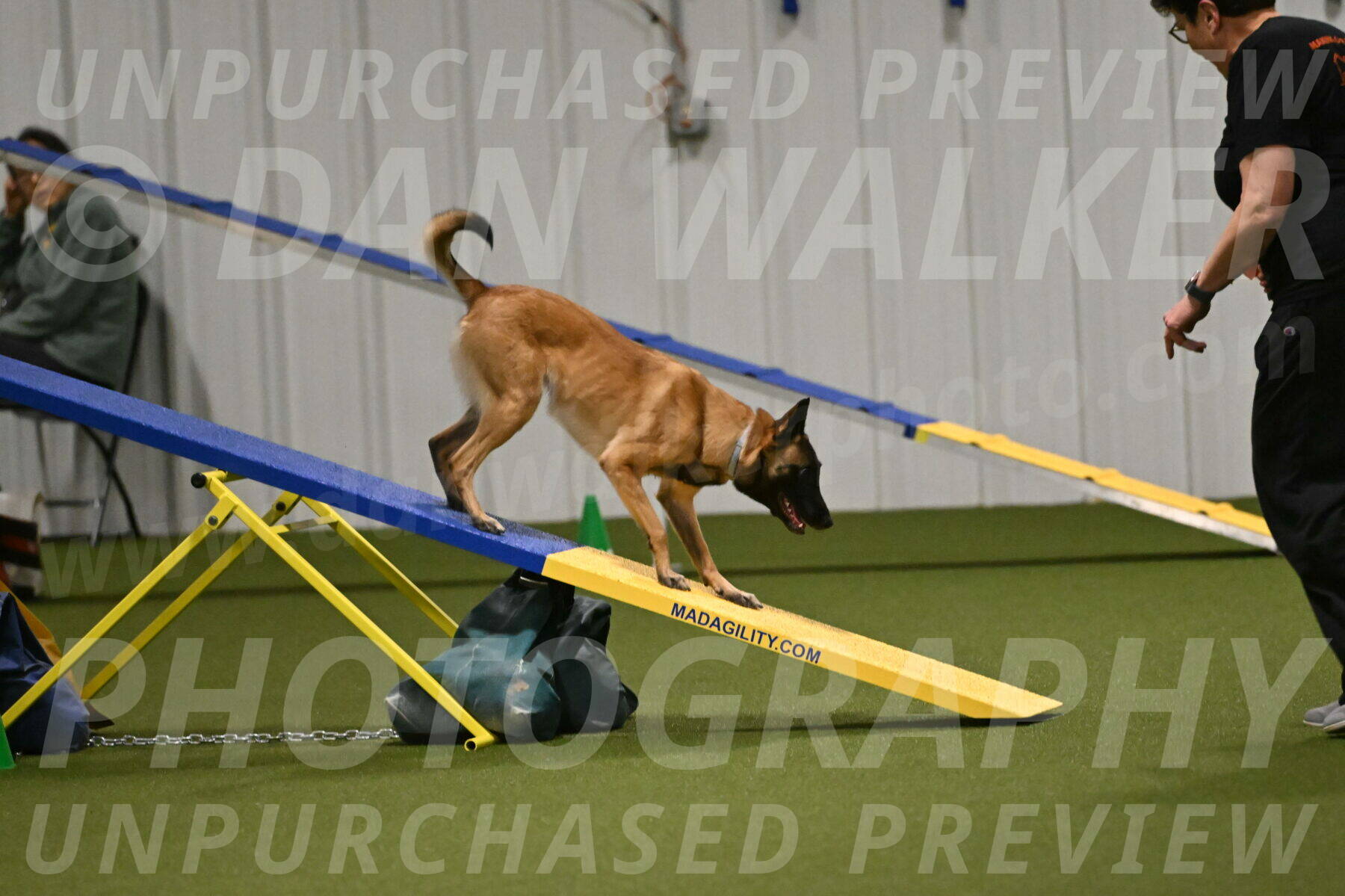 Ellie-Sharon-Muller-07130